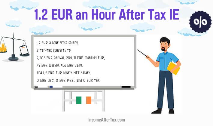 €1.2 an Hour After Tax IE