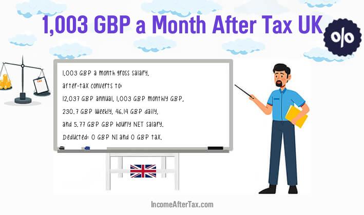 £1,003 a Month After Tax UK