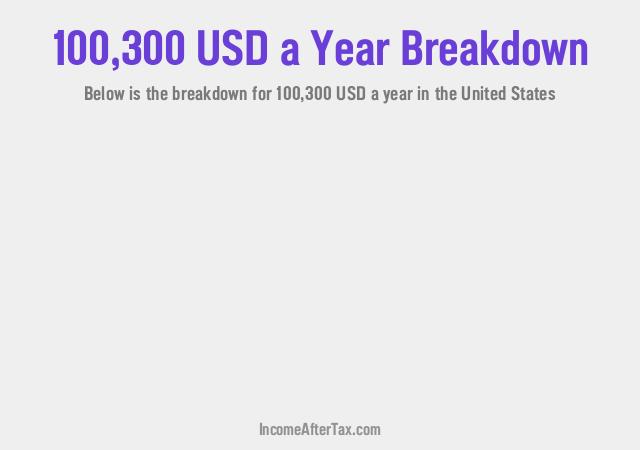 How much is $100,300 a Year After Tax in the United States?