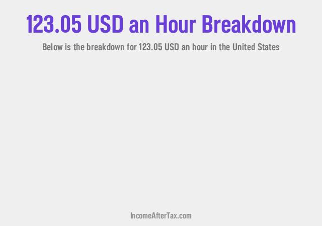 How much is $123.05 an Hour After Tax in the United States?