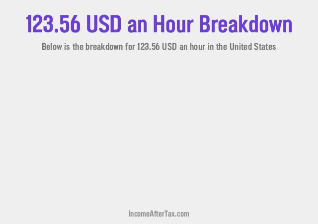 How much is $123.56 an Hour After Tax in the United States?
