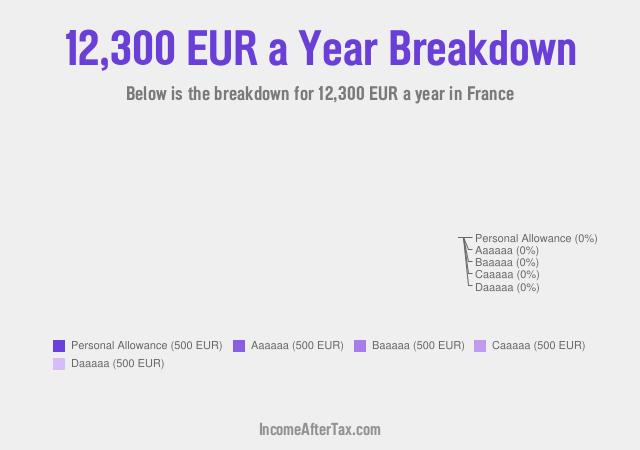 How much is €12,300 a Year After Tax in France?