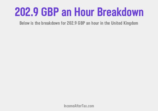 How much is £202.9 an Hour After Tax in the United Kingdom?