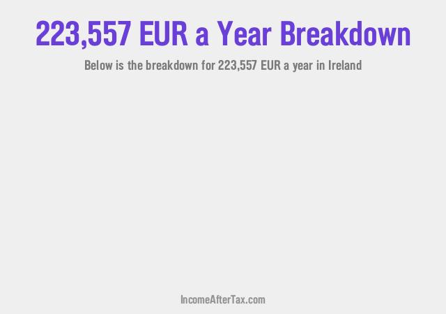 How much is €223,557 a Year After Tax in Ireland?