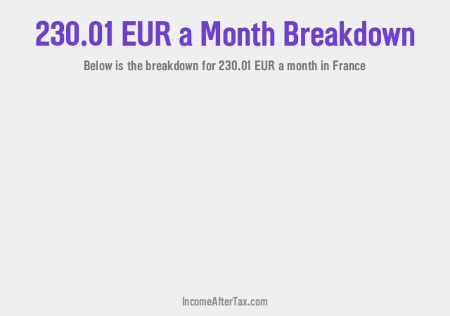 How much is €230.01 a Month After Tax in France?