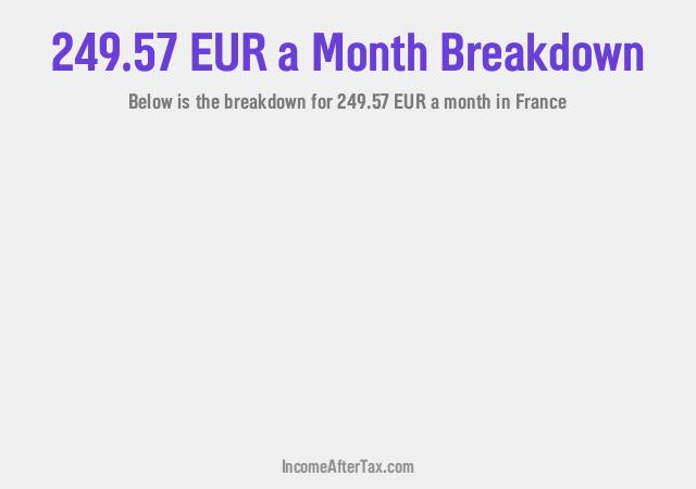 How much is €249.57 a Month After Tax in France?