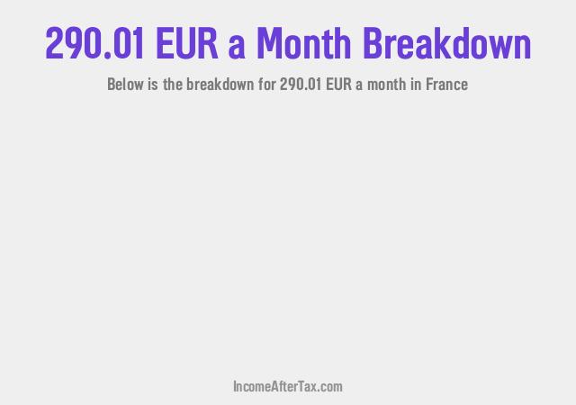 How much is €290.01 a Month After Tax in France?