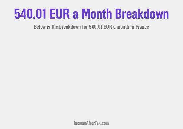 How much is €540.01 a Month After Tax in France?