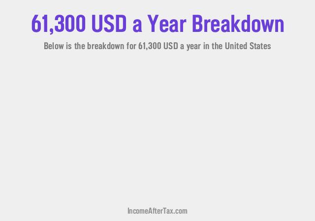 How much is $61,300 a Year After Tax in the United States?